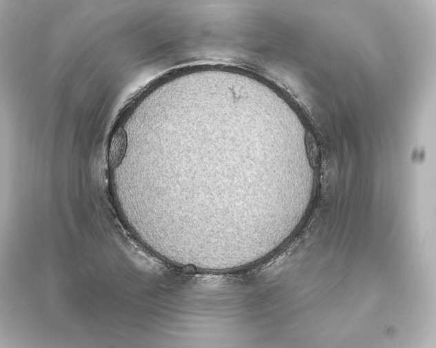 X0000093621172200711121229