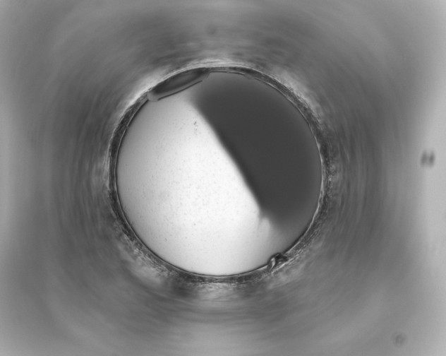 X0000093621173200711121229