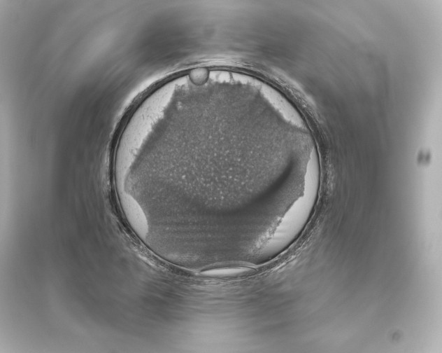 X0000093621174200711121229