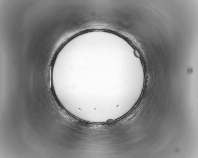 X0000093621175200711121229