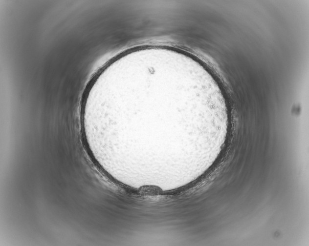 X0000093621176200711121229