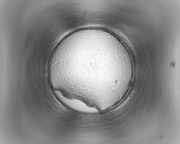 X0000093621177200711121229