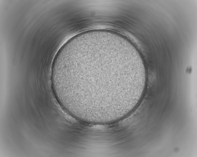 X0000093621178200711121229