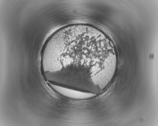 X0000093621179200711121229