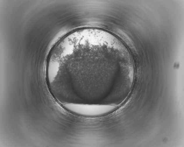X0000093621180200711121229