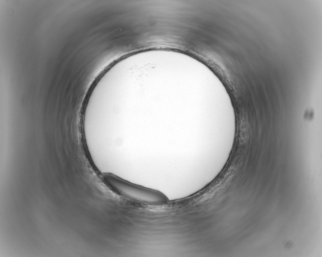 X0000093621182200711121228