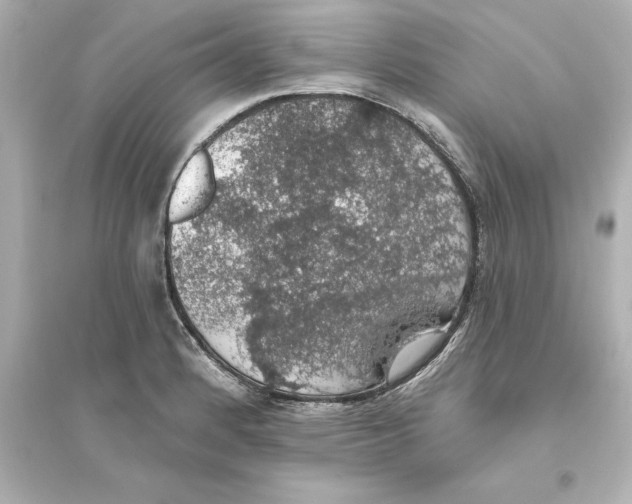 X0000093621184200711121228