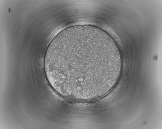 X0000093621185200711121228