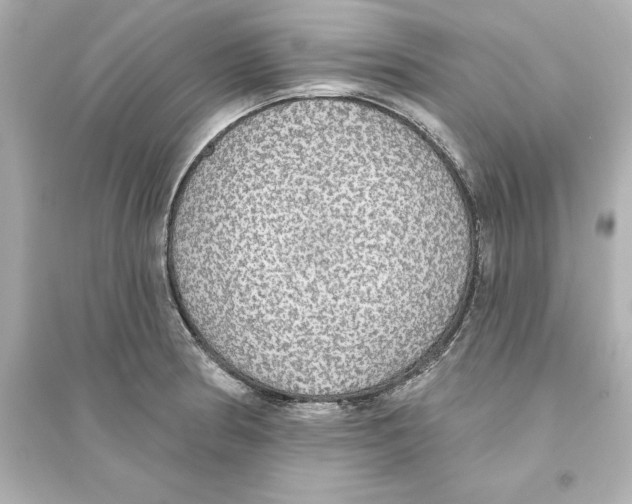 X0000093621186200711121228