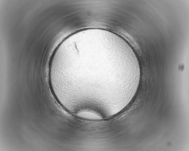 X0000093621188200711121228