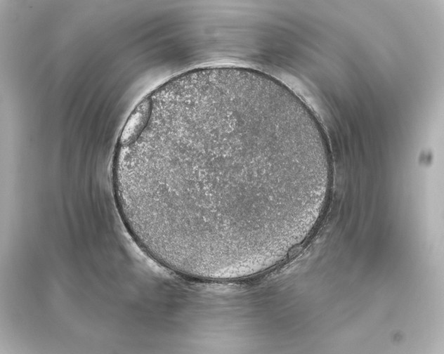 X0000093621189200711121228