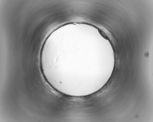 X0000093621191200711121228