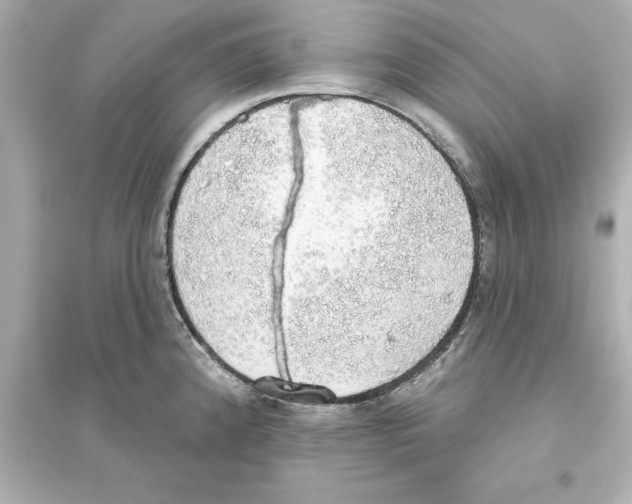 X0000093621192200711121228