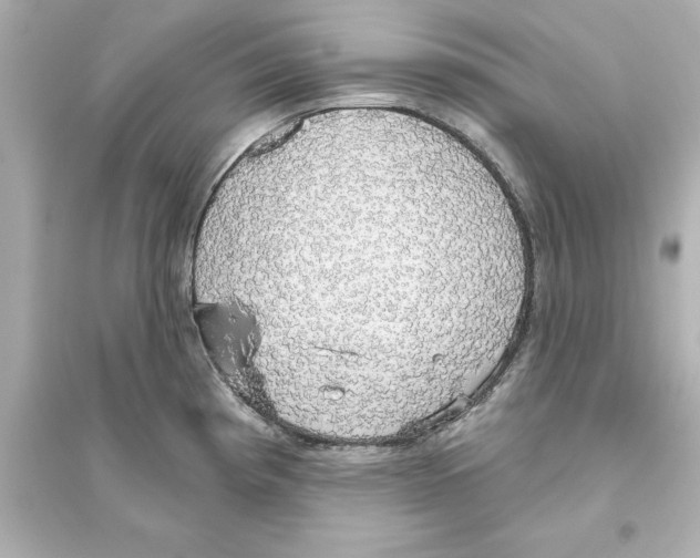 X0000093621193200711121228