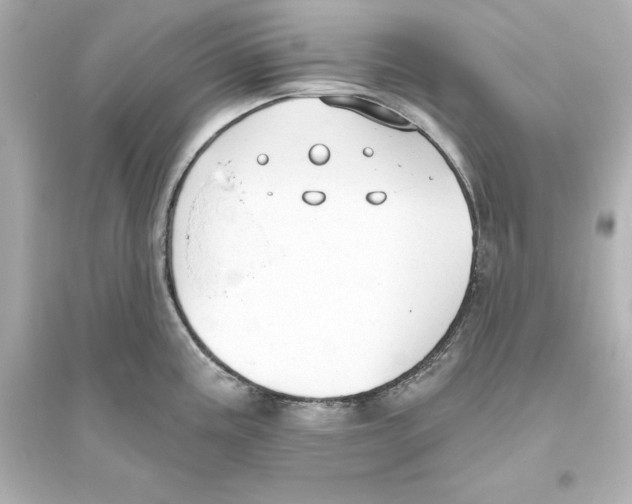 X0000093621195200711121228