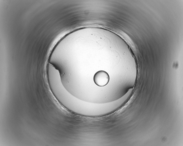 X0000093621196200711121228