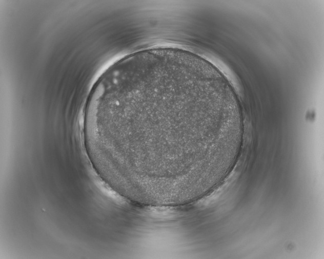 X0000093621198200711121228