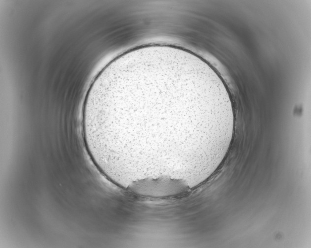 X0000093621199200711121228