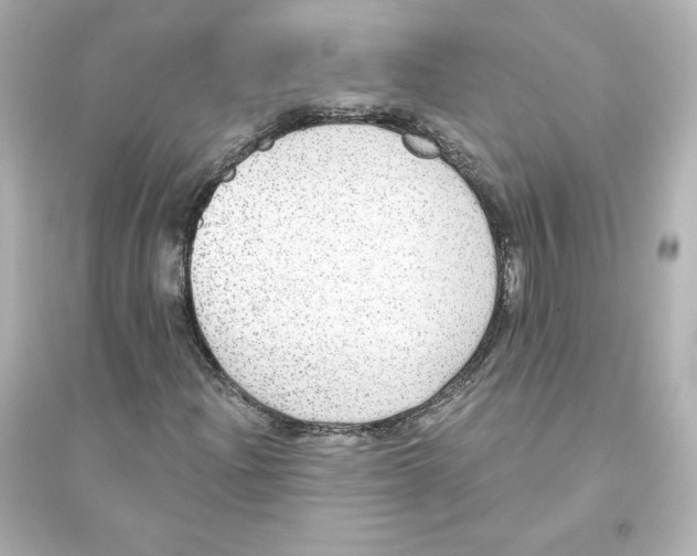 X0000093621204200711121228