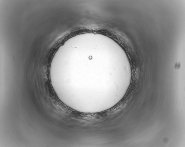 X0000093621205200711121228