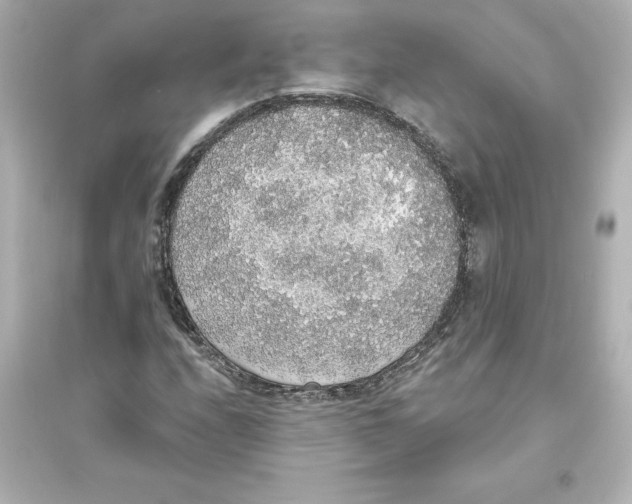 X0000093621208200711121228