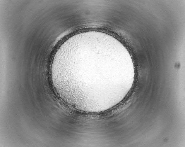 X0000093621210200711121228