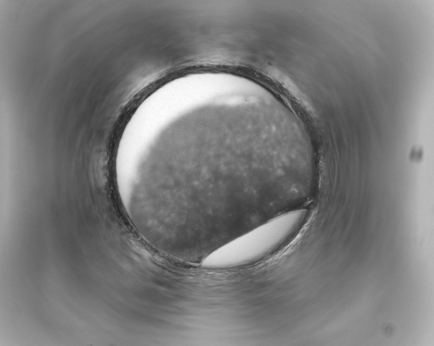 X0000093621213200711121228