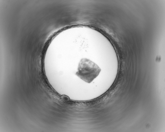 X0000093621214200711121228