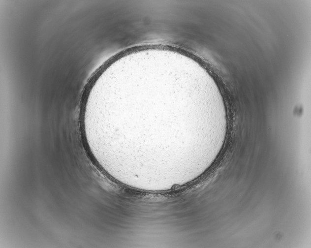 X0000093621216200711121228