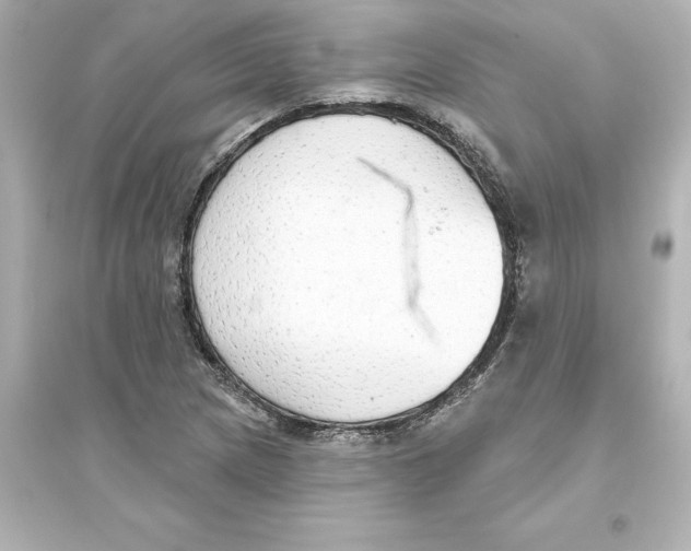 X0000093621217200711121228