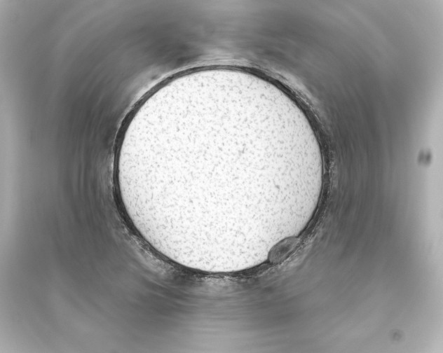 X0000093621220200711121228