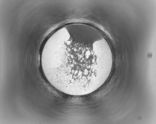 X0000093621221200711121228