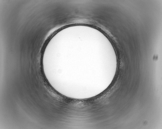 X0000093621222200711121228