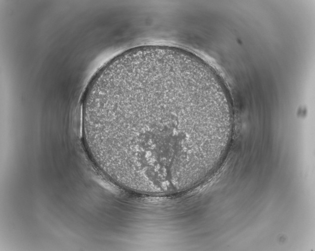 X0000093621223200711121228