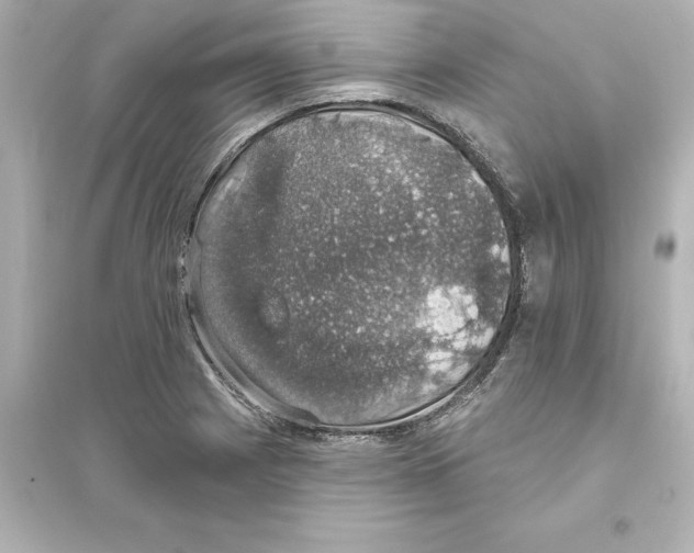 X0000093621225200711121228