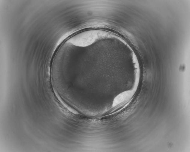 X0000093621226200711121228