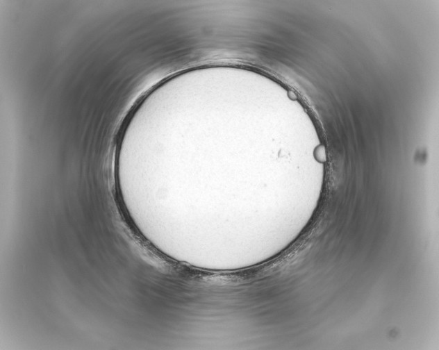 X0000093621227200711121228