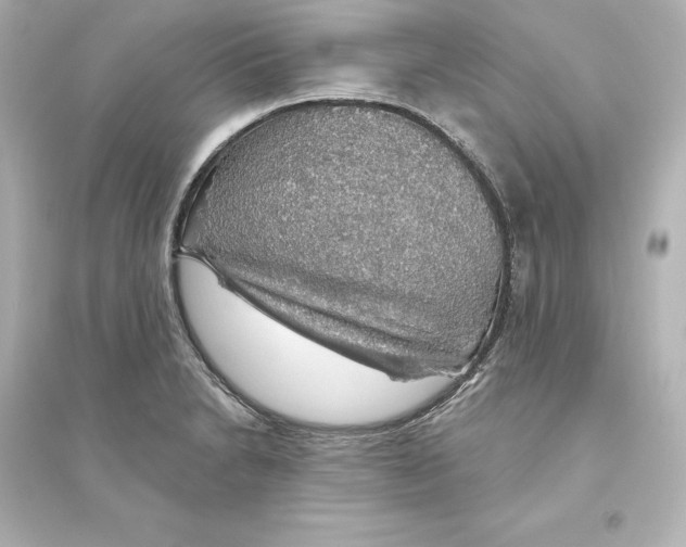 X0000093621230200711121228