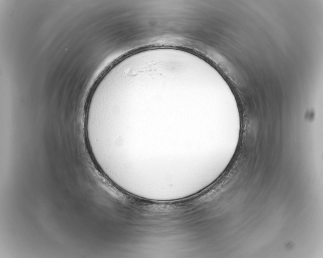 X0000093621232200711121228