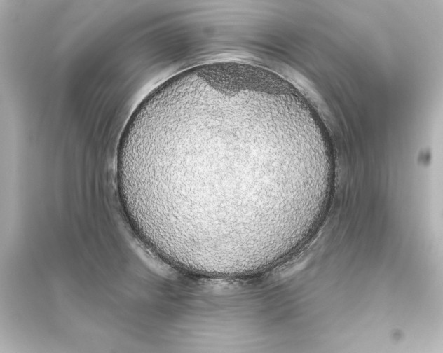 X0000093621234200711121228