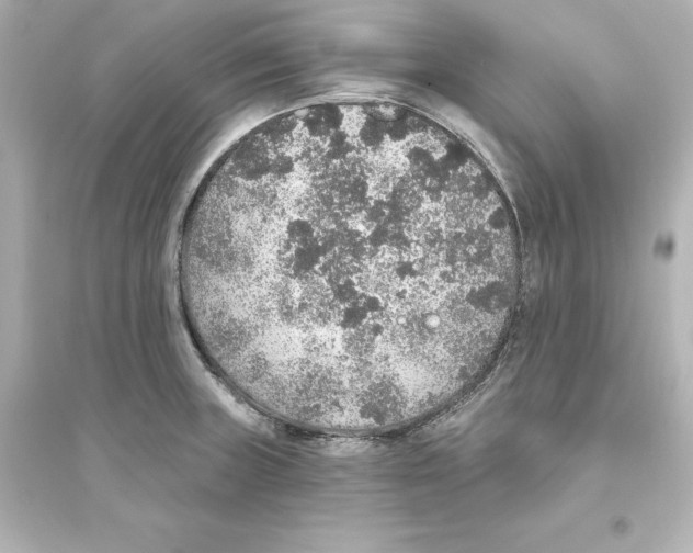 X0000093621235200711121228