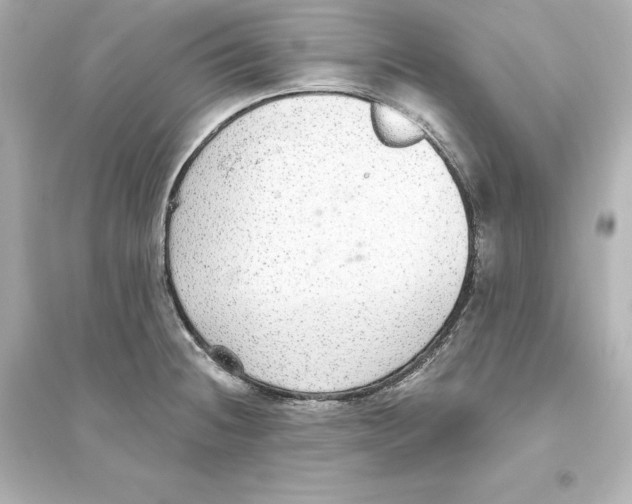 X0000093621236200711121228