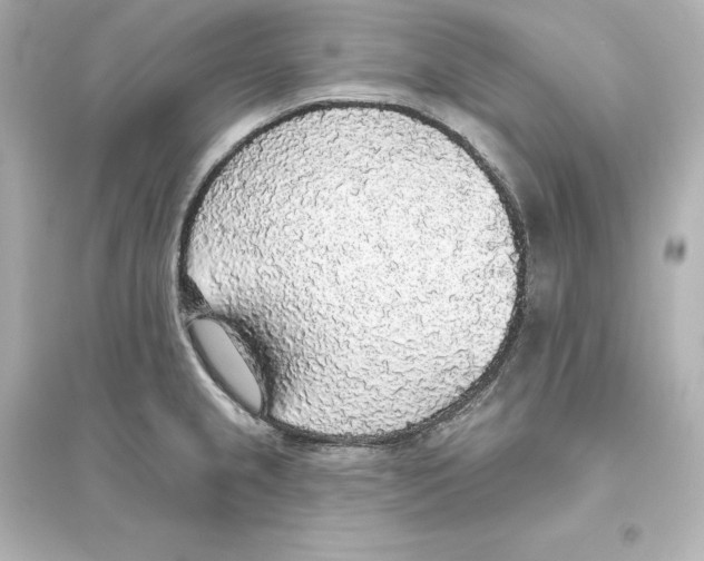 X0000093621237200711121228