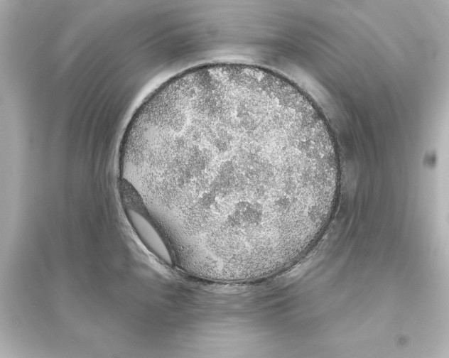 X0000093621240200711121228