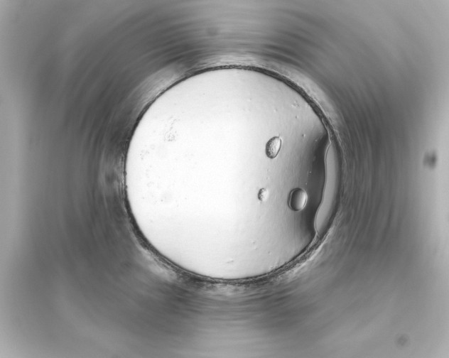 X0000093621241200711121228