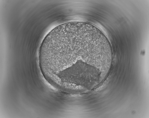 X0000093621243200711121228