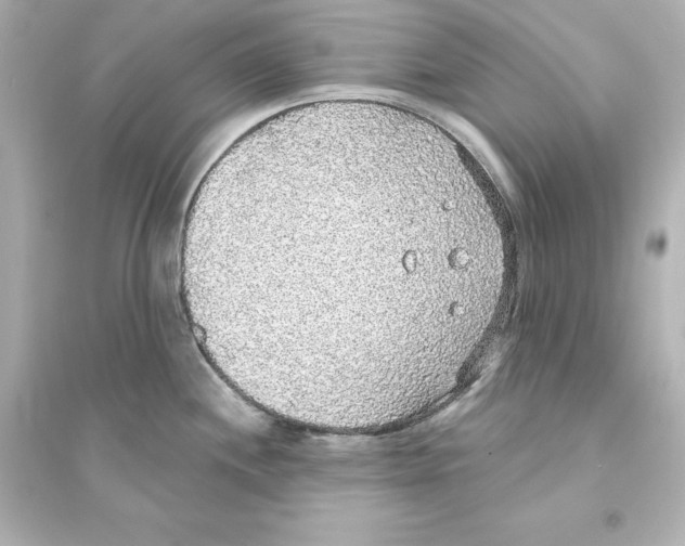 X0000093621244200711121228