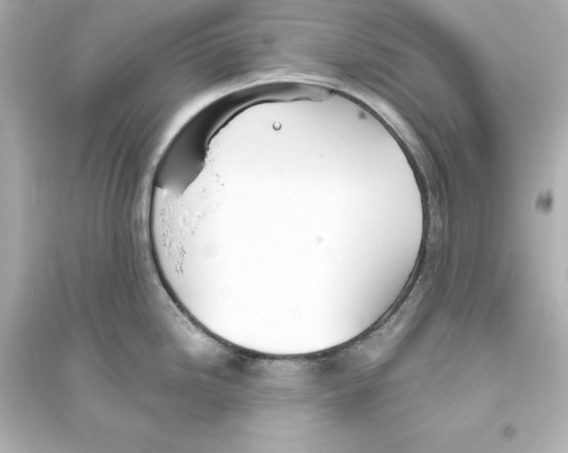 X0000093621246200711121228