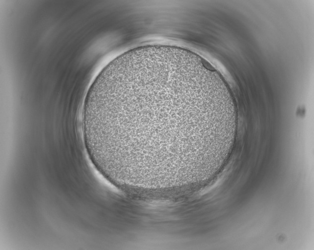 X0000093621247200711121228