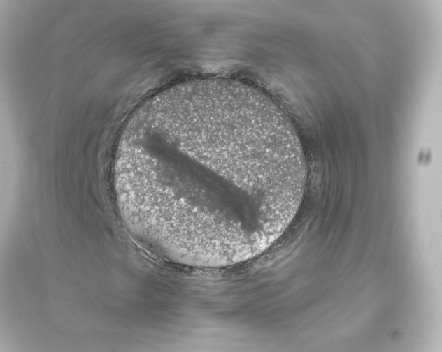 X0000093621249200711121228